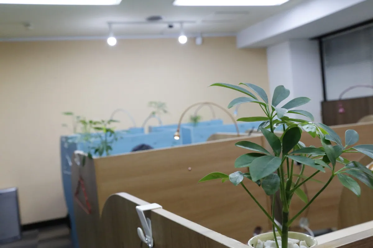 ライトアームを備えた自習席と観葉植物